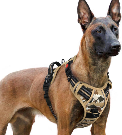 Rabbitgoo Dog Harness Medium Sized, Updated Easy on & off with 3 Buckles | No Pull No Choke, Walking with 2 Clips and Handle, Adjustable Soft Reflective, Blue, Medium24