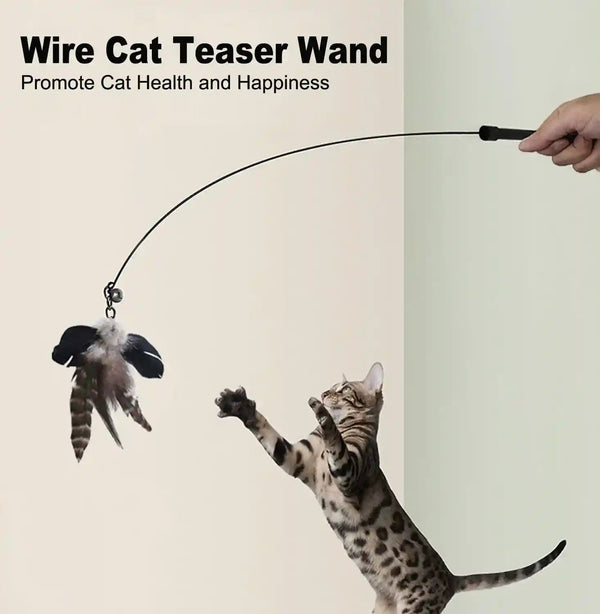Yauende Cat Feather Toys, Indoor Cat Interactive Toys, 2 PCS Flexible Wire and 5 PCS Cat Feather Toys, for Bored Indoor Cats, Indoor Cat Chase Toys5