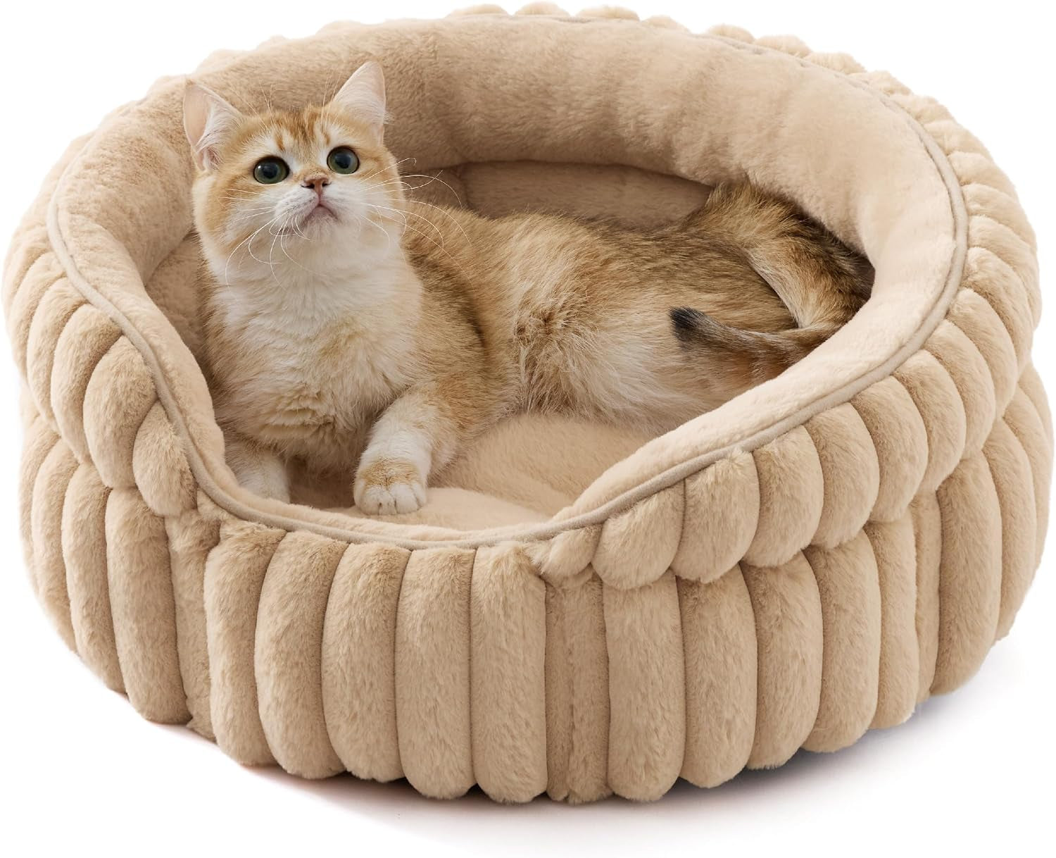 bedsure-comfyfleece™-washable-cute-large-cat-bed-soft-round-puppy-bed-23in-cozy-fluffy-plush-small-dog-bed-donut-corduroy-cuddler-pet-beds-for-indoor-big-cats-anti-slip-bottom-up-to-20-lbs-cream