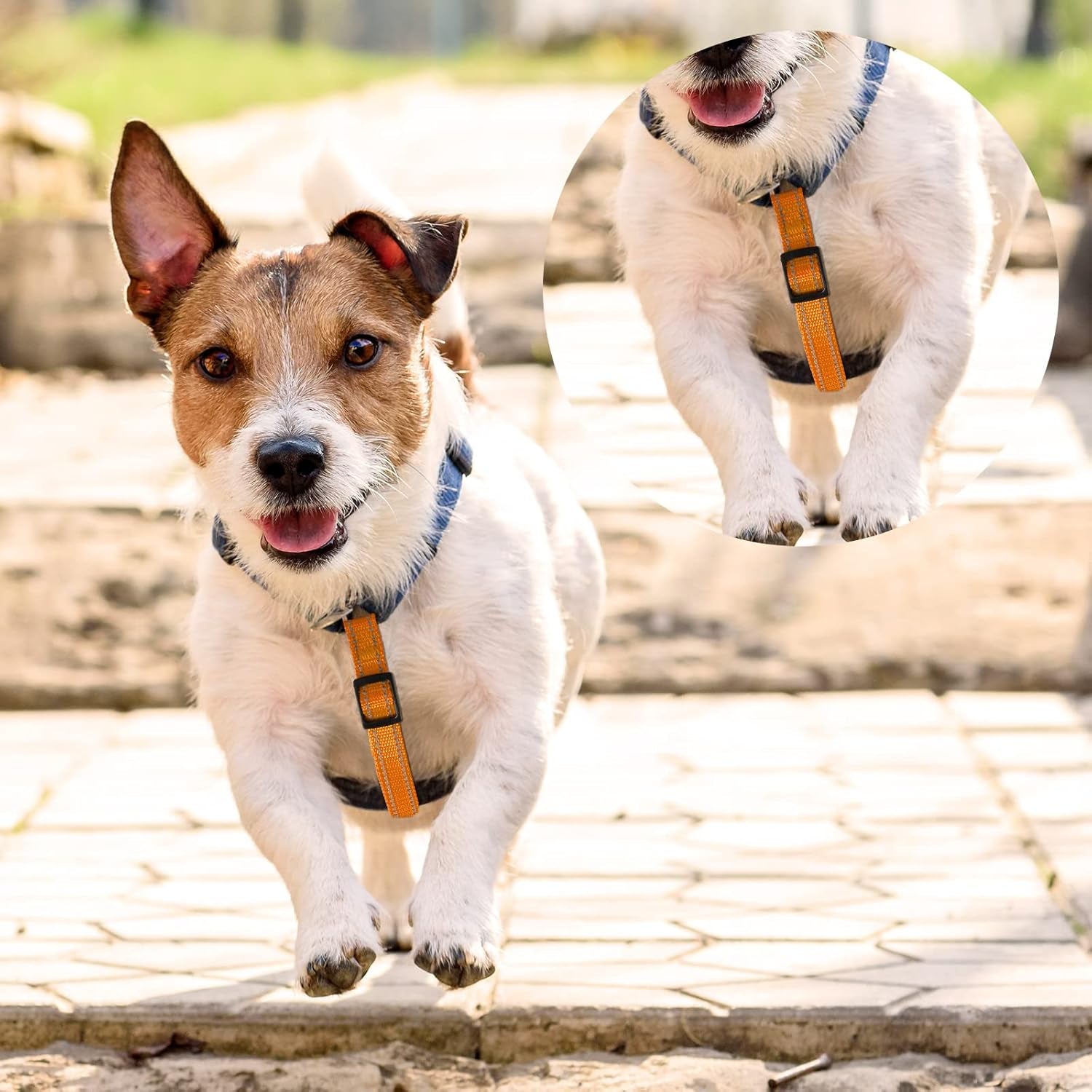 saintrygo-5-pcs-safety-dog-collar-clips-prong-collar-backup-clips-adjustable-reflective-nylon-harness-connector-metal-double-ended-backup-clasp-for-harness-petbright-color