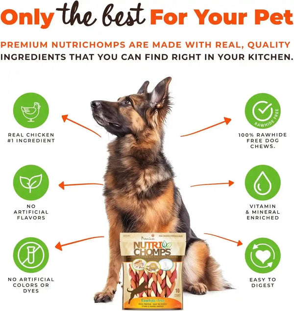 Nutrichomps Rawhide-Free Dog Chews, 6 in Braids, Chicken, PB, Milk, 10 Ct | a Rawhide-Free Chew That'S Gentle and Easy to Digest, Made with the Real, Wholesome Ingredients Dogs Love3