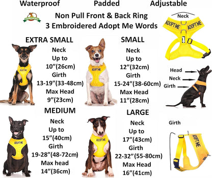 Dexil Limited Adopt ME (I Need a New Home) Yellow Color Coded Non-Pull Front and Back D Ring Padded and Waterproof Vest Dog Harness Prevents Accidents by Warning Others of Your Dog in Advance (S)3