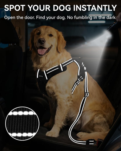 Joytale 3-In-1 Bungee Dog Seat Belt for Car, Medium and Large Dogs, Black | Seatbelt Buckle, LATCH, Cargo Hook, Shock-Absorbing, 360° Swivel Slide-To-Lock Zinc Buckle, for Distraction-Free Driving8