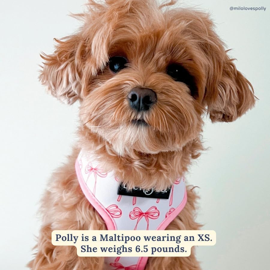 lucy-co-reversible-dog-harness-water-repellent-neoprene-dual-print-design-easy-swap-style-adjustable-comfort-fit-take-a-bow-reversible-harness-small