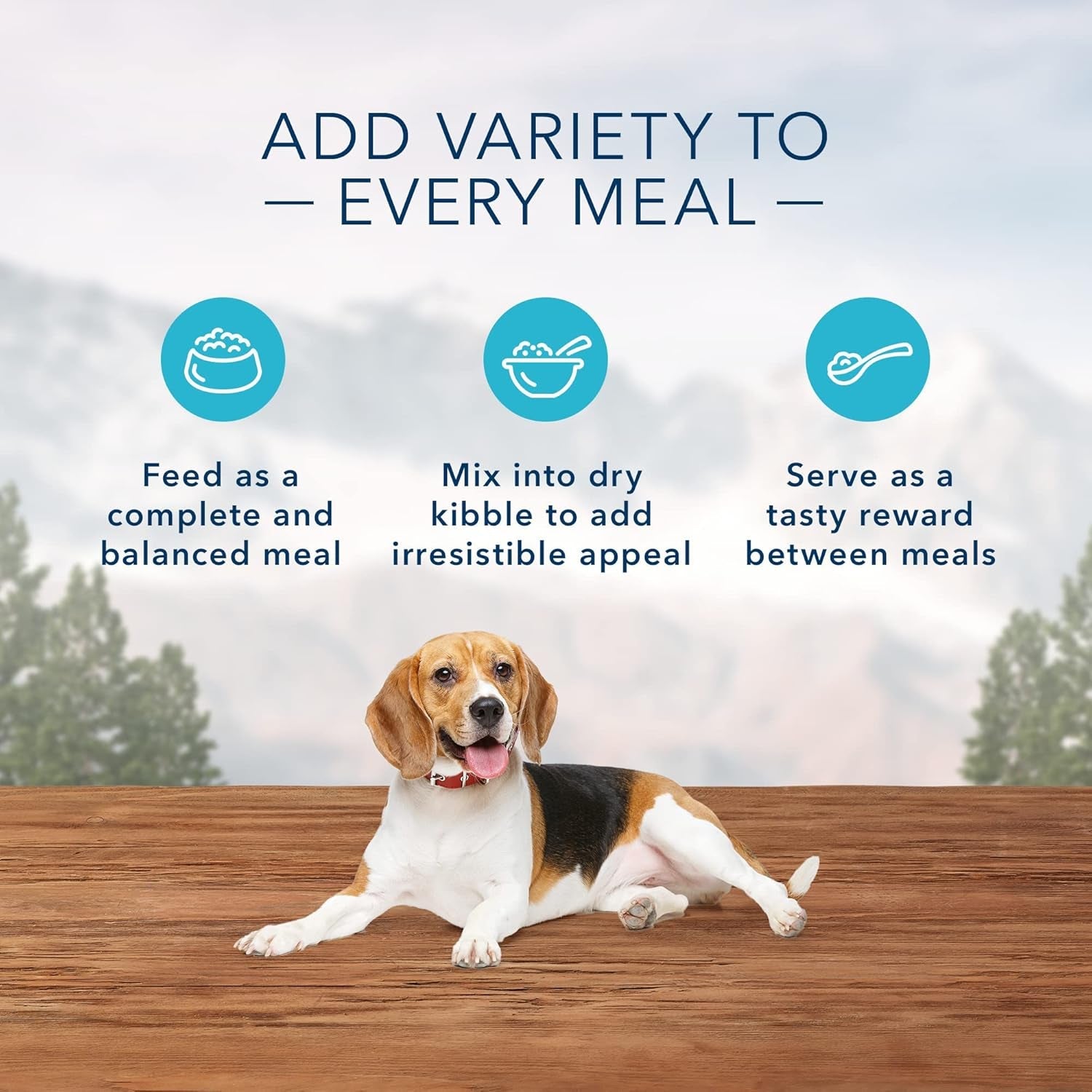 blue-buffalo-wilderness-adult-wet-dog-food-healthy-weight-high-protein-and-grain-free-turkey-chicken-recipe-12-5-oz-can