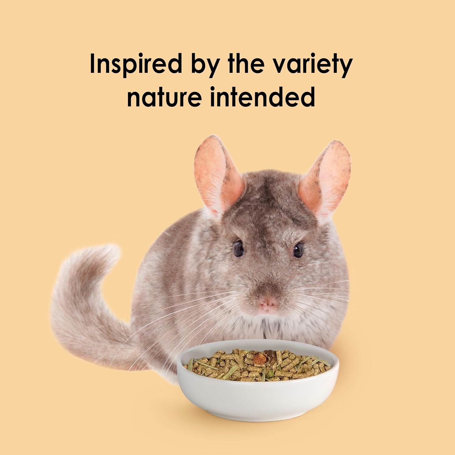 kaytee-food-from-the-wild-chinchilla-3-pounds
