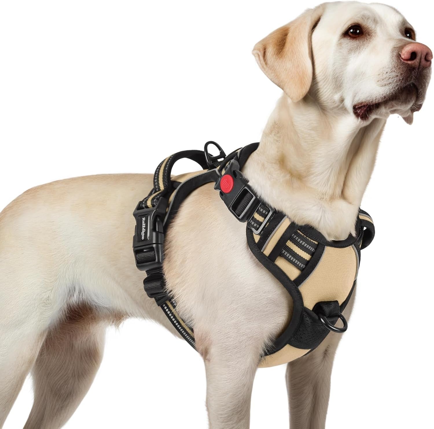 rabbitgoo-dog-harness-medium-sized-updated-easy-on-off-with-3-buckles-no-pull-no-choke-walking-with-2-clips-and-handle-adjustable-soft-reflective-blue-medium