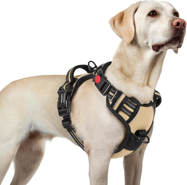 Rabbitgoo Dog Harness Medium Sized, Updated Easy on & off with 3 Buckles | No Pull No Choke, Walking with 2 Clips and Handle, Adjustable Soft Reflective, Blue, Medium70