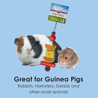Kaytee Perfect Chew Guinea Pig5