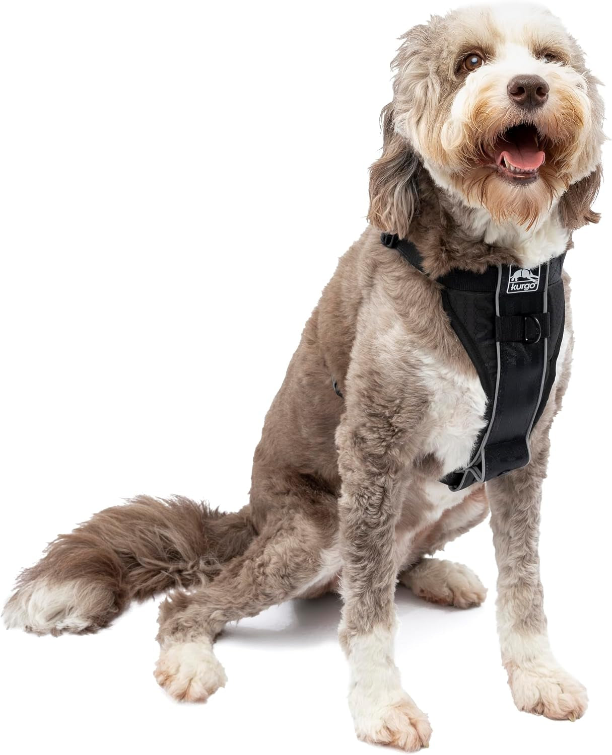 kurgo-tru-fit-smart-harness-black-large-dog-walking-harness-with-quick-release-buckles-front-back-leash-attachments-reflective-trim-includes-seatbelt-tether