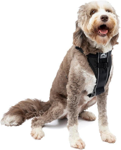 Kurgo Tru-Fit Smart Harness, Black, Large | Dog Walking Harness with Quick Release Buckles, Front & Back Leash Attachments, Reflective Trim, Includes Seatbelt Tether1