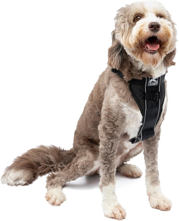 Kurgo Tru-Fit Smart Harness, Black, Large | Dog Walking Harness with Quick Release Buckles, Front & Back Leash Attachments, Reflective Trim, Includes Seatbelt Tether1