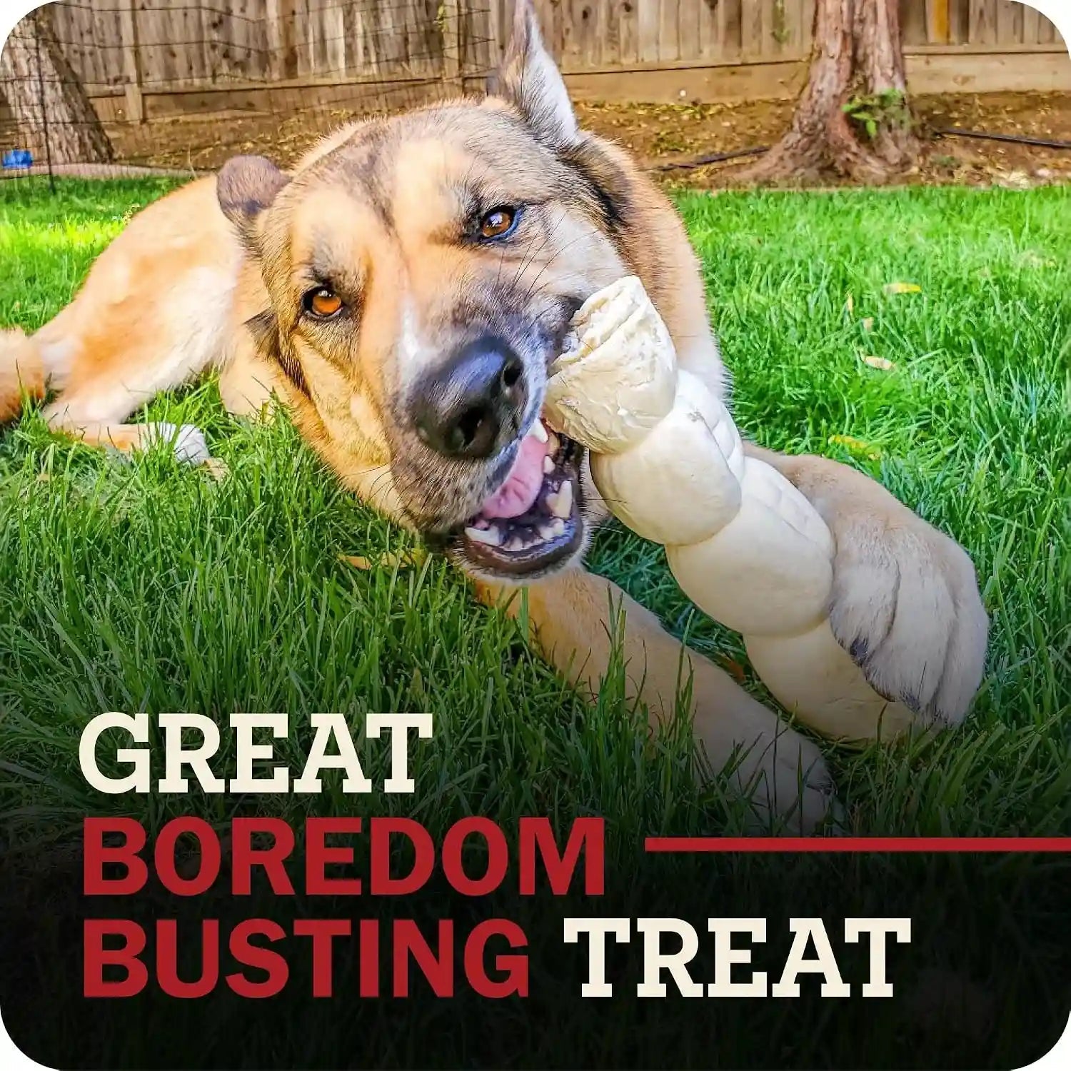 redbarn-pet-products-all-natural-large-beef-cheek-rolls-for-dogs-uncoated-single-ingredient-grain-free-chew-treat-naturally-rich-in-collagen-no-artificial-preservatives-pack-of-4