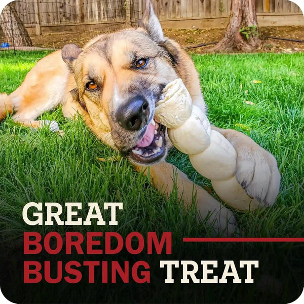 Redbarn Pet Products All-Natural Large Beef Cheek Rolls for Dogs, Uncoated - Single Ingredient Grain-Free Chew Treat Naturally Rich in Collagen - No Artificial Preservatives - Pack of 42