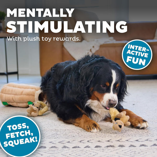 Outward Hound Hide-A-Squirrel Dog Toy – Interactive 2‑In‑1 Plush Puzzle with 6 Squeaky Removable Squirrels, X-Large4