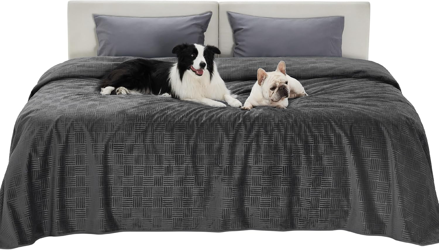 bedsure-waterproof-couch-cover-for-dogs-washable-waterproof-blanket-for-large-dogs-couch-sofa-bed-cozy-lightweight-furniture-protector-for-pet-cat-quick-drying-ash-grey-52x82in