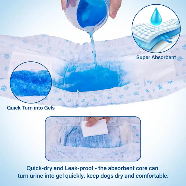 Pet Soft Disposable Male Wrap Dog Diaper,12Pcs,Xs4