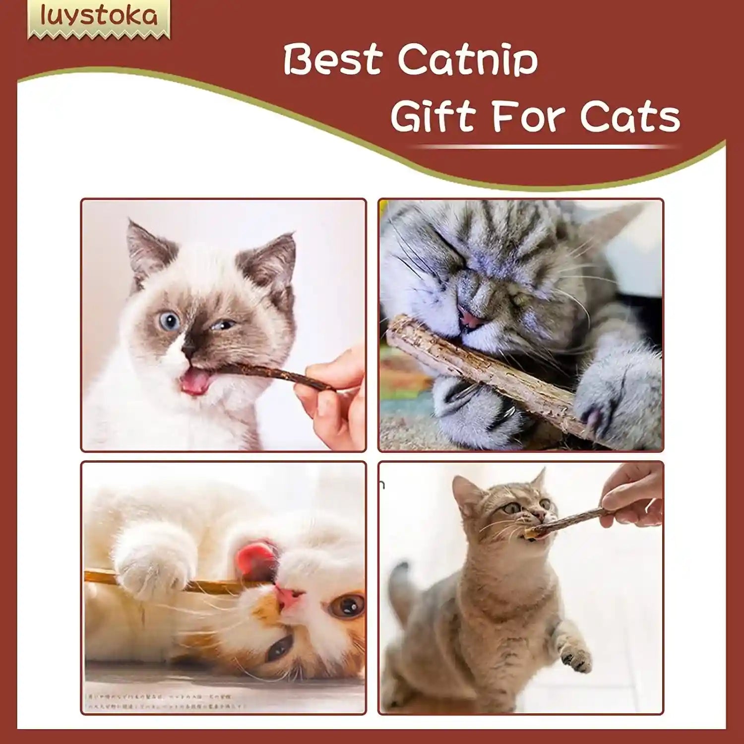 silvervine-sticks-for-cats-30pcs-kitten-toys-catnip-toys-matatabi-silvervine-sticks-kitty-chew-toys-wooden-stick-kitten-teething-toys-molar-suitable-for-cats-of-all-ages