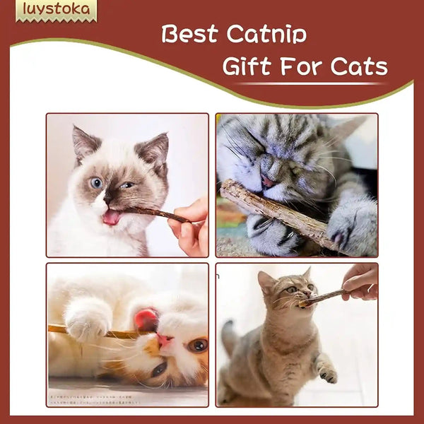 Silvervine Sticks for Cats, 30PCS Kitten Toys Catnip Toys Matatabi Silvervine Sticks Kitty Chew Toys Wooden Stick Kitten Teething Toys Molar Suitable for Cats of All Ages7