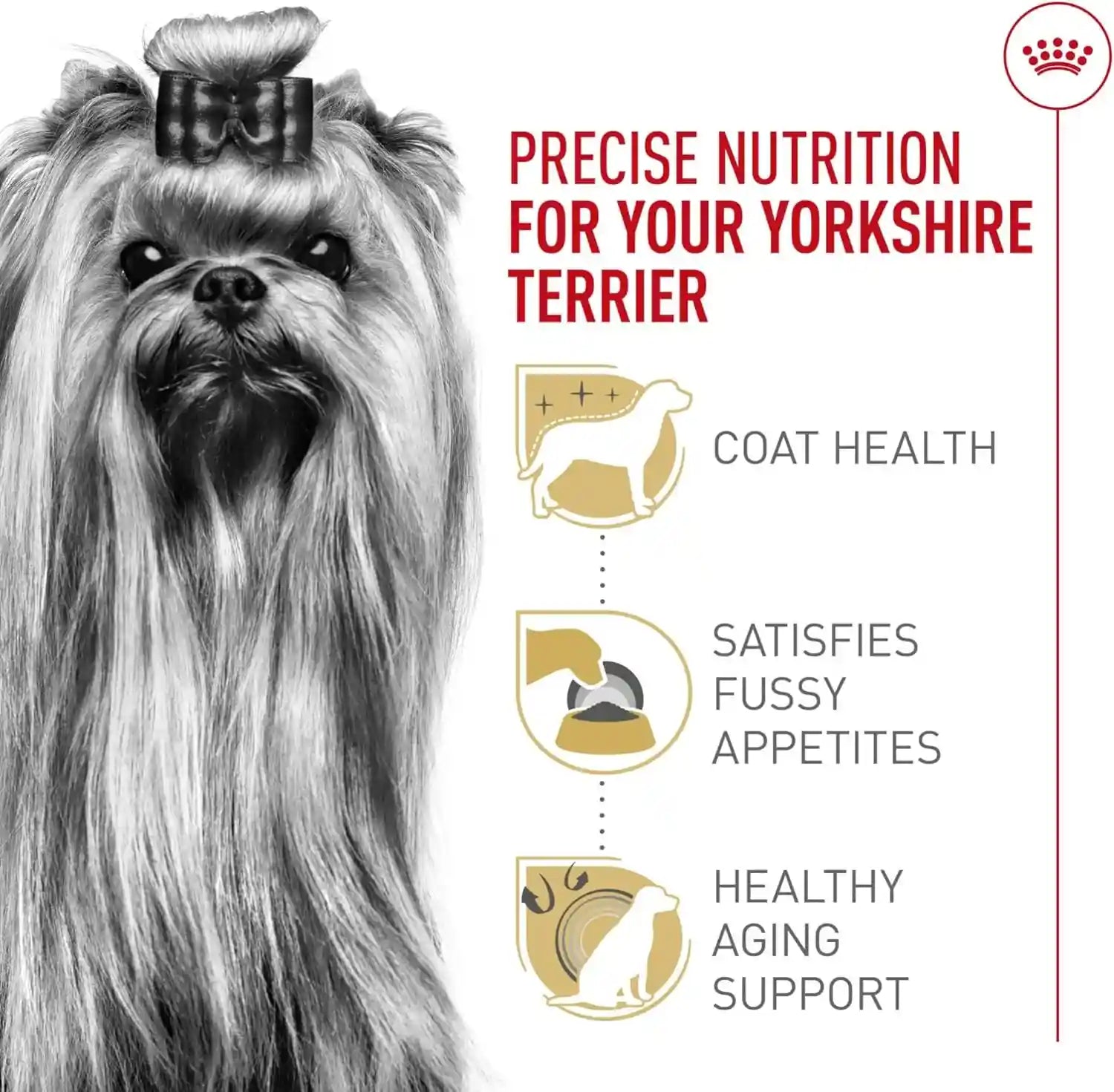 royal-canin-breed-health-nutrition-yorkshire-terrier-adult-dry-dog-food-2-5-lb-bag
