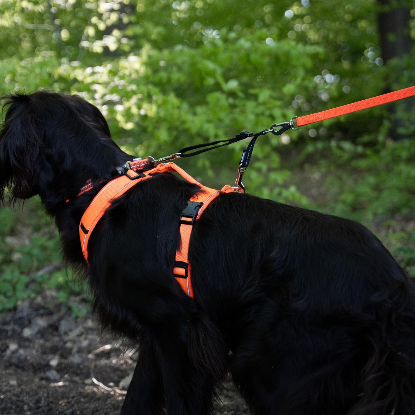 herm-sprenger-adjustable-coupling-strap-reflective-nylon-2-way-dog-leash-coupler-with-nickel-plated-swivel-clip-safety-backup-strap-for-prong-flat-collars-red