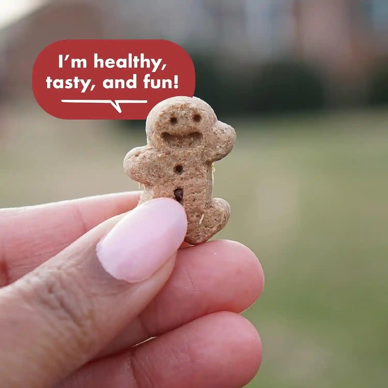 buddy-biscuits-softies-5-oz-pouch-grain-free-soft-chewy-natural-grilled-beef-flavor-dog-treats-oven-baked-in-the-usa