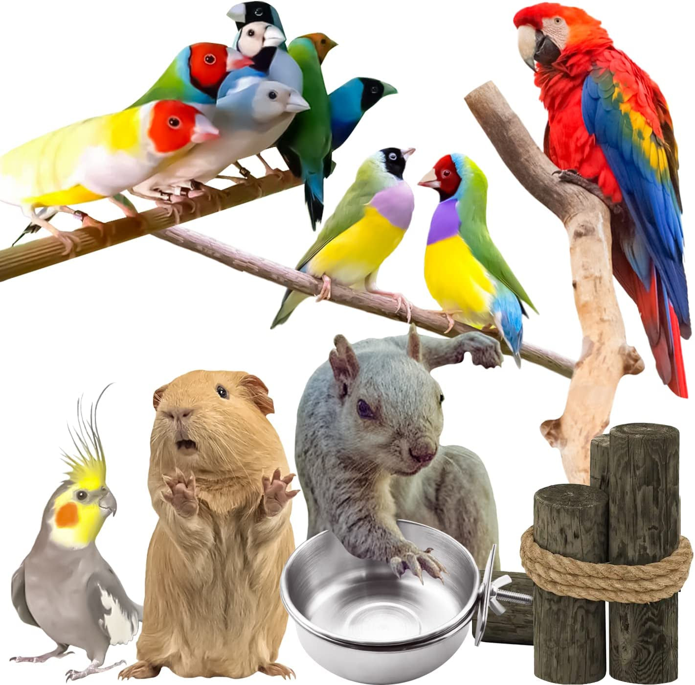 3-pack-bird-feeding-bowls-cups-parrot-food-water-dishes-stainless-steel-bird-bowl-cup-dish-with-clamp-birdcage-feeder-pet-cage-bowls-for-cockatiel-budgie-conure-macaw-parakeet-small-animal