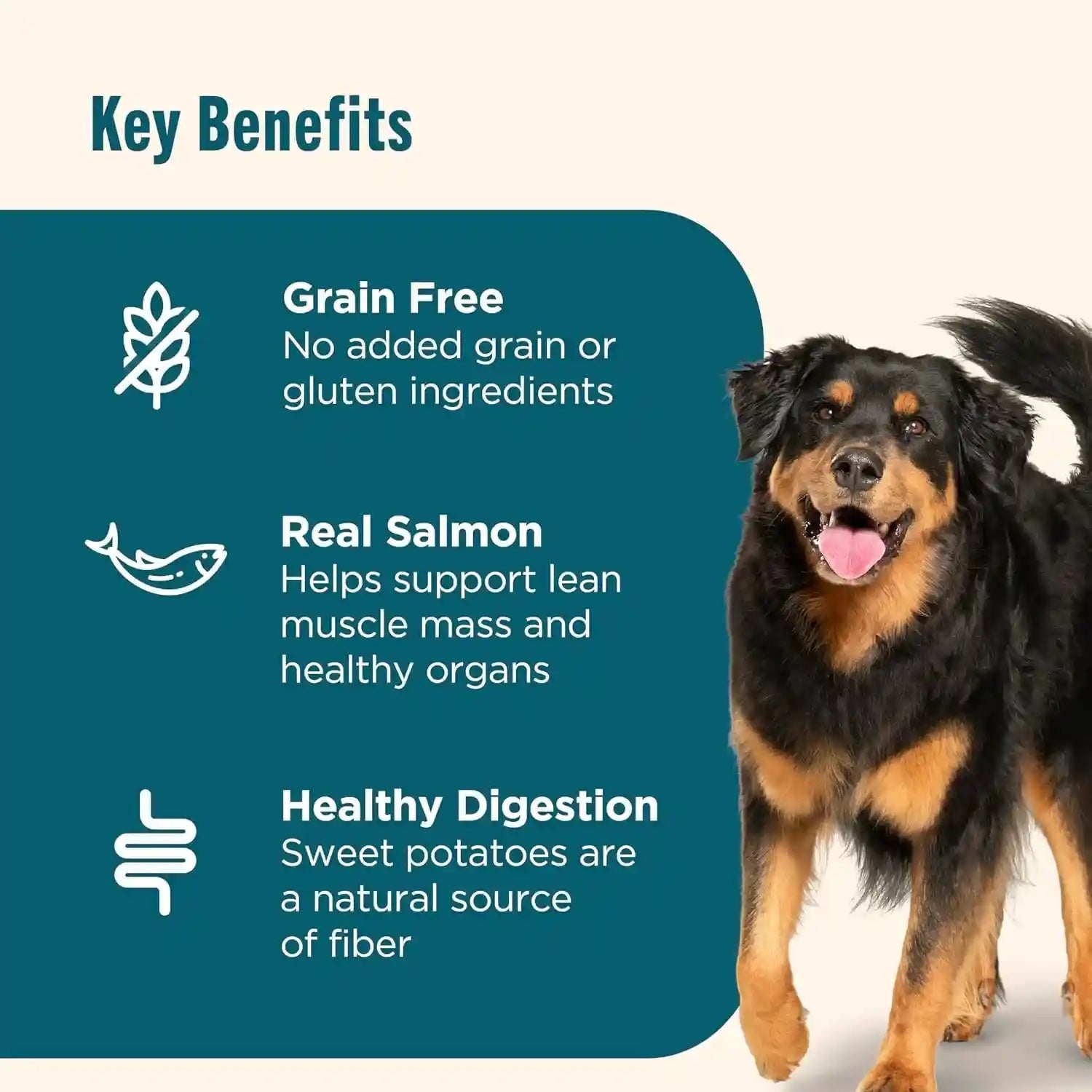 nutrish-grain-free-dry-dog-food-salmon-sweet-potato-recipe-23-lb-bag-rachael-ray