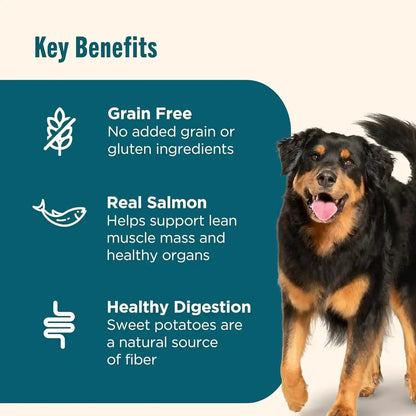 Nutrish Grain Free Dry Dog Food, Salmon & Sweet Potato Recipe, 23 Lb. Bag (Rachael Ray)4