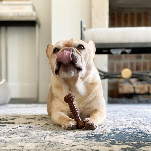 Nylabone Power Chew Dental Groove Bone Dog Chew Toy, Flavor Medley, Small | Teeth-Cleaning Textures, Durable Dog Toys for Aggressive Chewers, Discourages Destructive Chewing, for Dogs up to 25 Lbs5