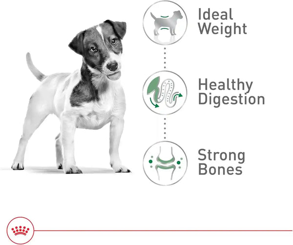 ROYAL CANIN Size Health Nutrition Small Adult Dry Dog Food, 14 Lb Bag6