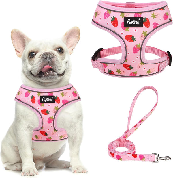 PUPTECK Soft Mesh Dog Harness Small Sized and Leash Set Pet Puppy Cat Comfort Padded Vest No Pull Harnesses, Beige, S68
