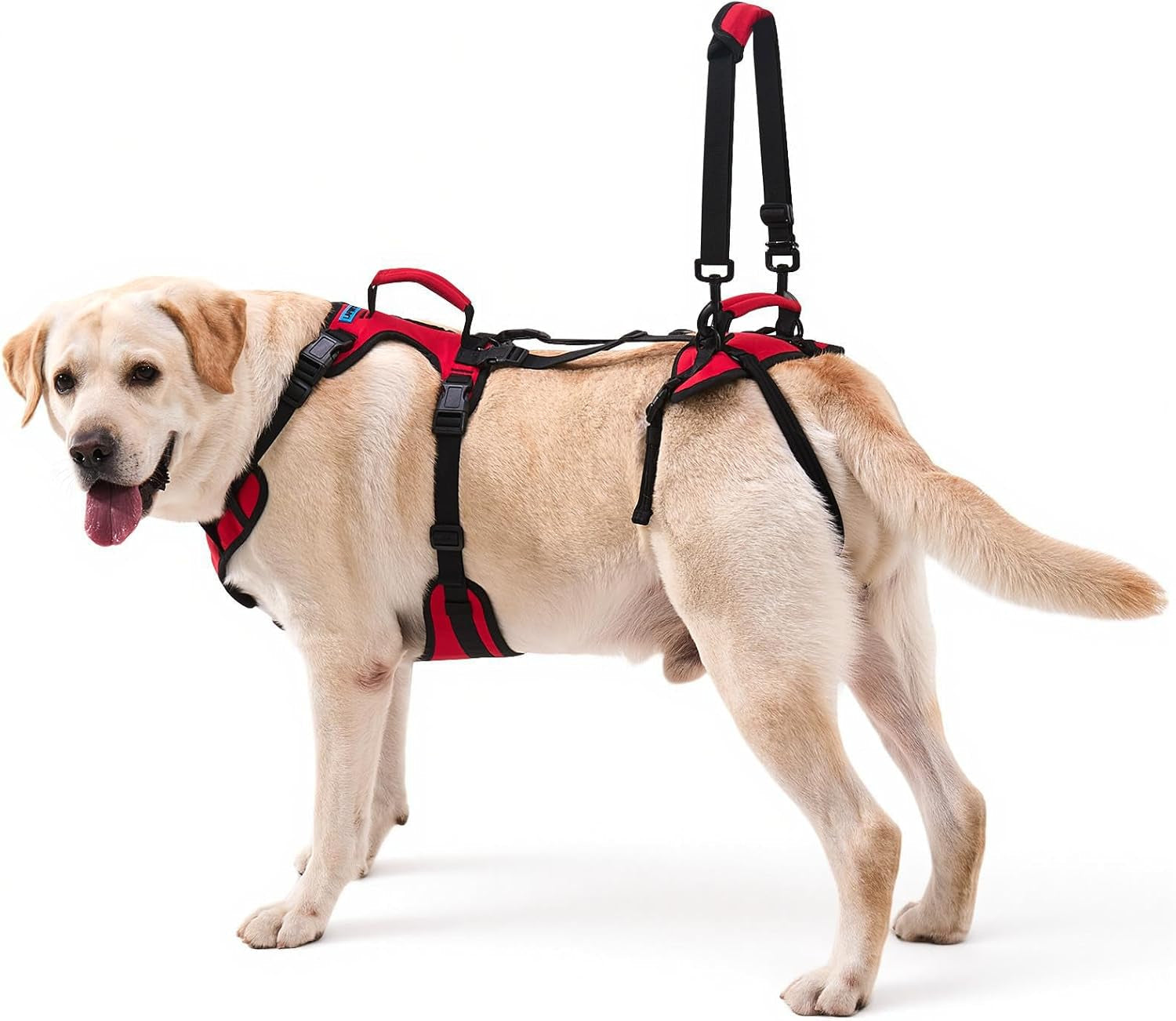 dog-lifting-harness-for-medium-dogs-dual-handle-dog-support-harness-for-daily-walking-assistance-male-dog-friendly-breathable-easy-on-mobility-aid-red-m