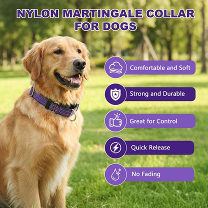 Martingale Collars for Dogs, Reflective Escape Proof Training Dog Collars with Quick Release Buckle,Adjustable No Slip Nylon Dog Collar for Medium Pets4