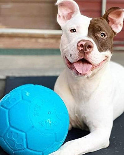 Jolly Pets Large Soccer Ball Floating-Bouncing Dog Toy, 8 Inch Diameter, Ocean Blue | Large 8 Inch Durable Dog Soccer Ball for Dogs 60 to 90 Lbs, Won'T Deflate When Punctured, Floats for Water Play, Made in USA6