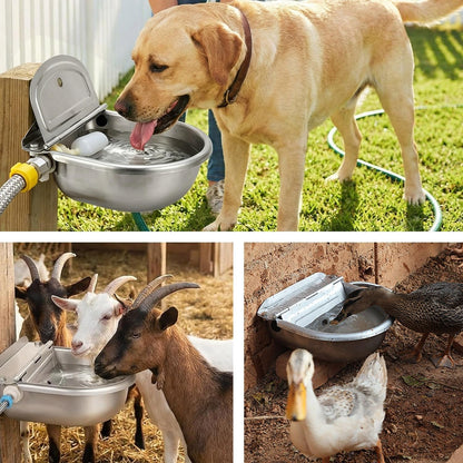 Automatic Dog Water Dispenser - Auto Filling Water Bowl for Dogs, Cats, Chickens and Livestock - Indoor Outdoor Pet Waterer Feeder with Float Valve2