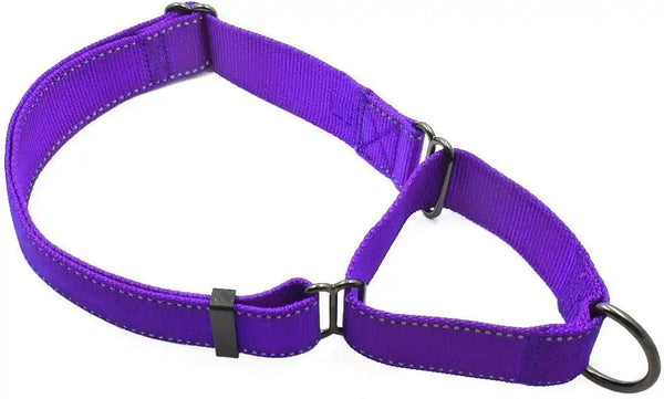 Max and Neo Nylon Martingale Collar - We Donate to a Dog Rescue for Every Collar Sold (Medium, Orange)16
