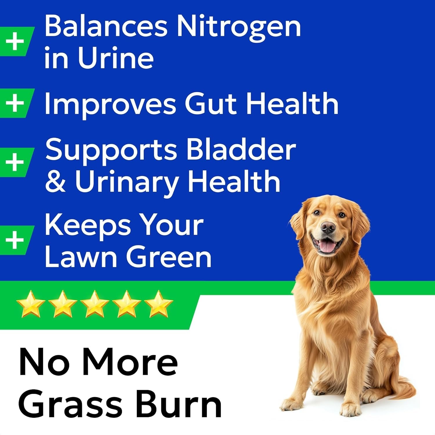 bark-spark-green-grass-dog-chews-dog-pee-grass-urine-neutralizer-lawn-grass-burn-spot-chews-with-probiotics-enzymes-helps-reduce-lawn-burn-from-dog-urine-120-soft-chews