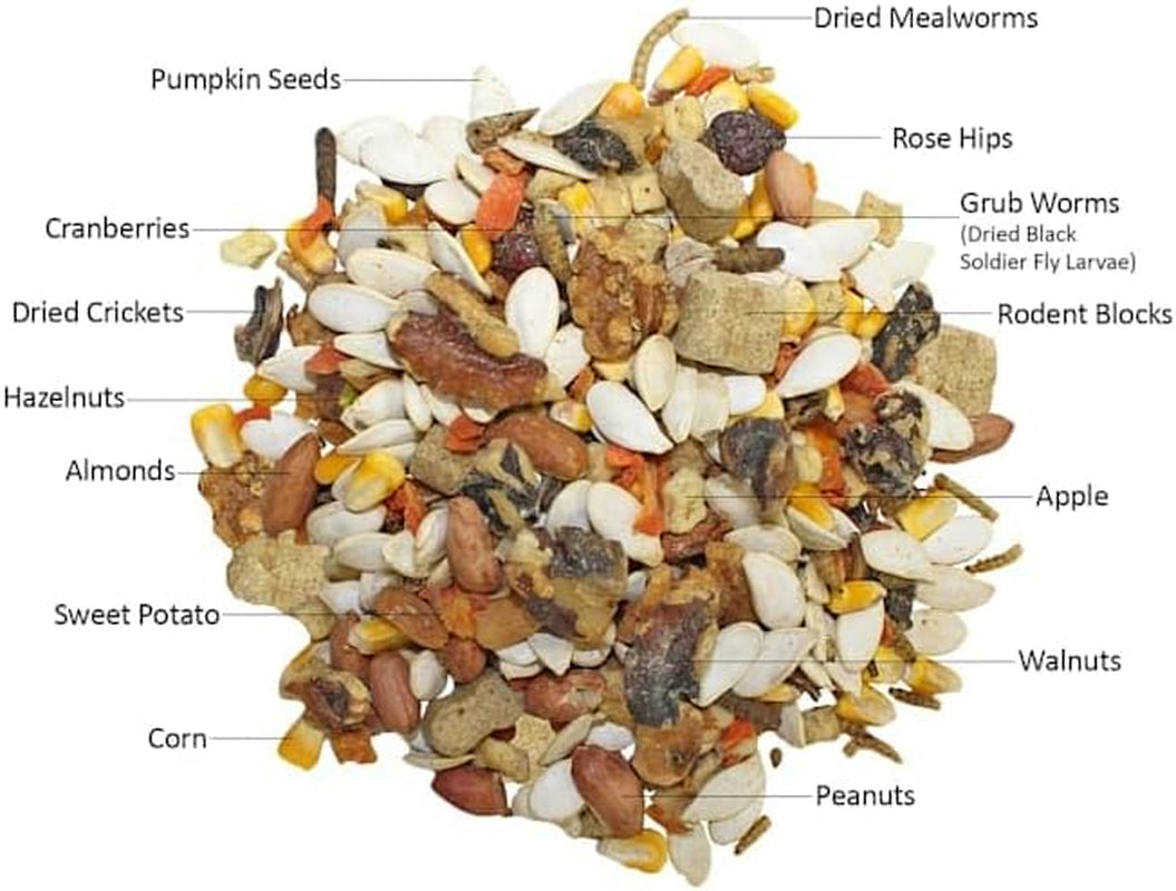 exotic-nutrition-squirrel-complete-1-75-lb-healthy-natural-food-nutritional-diet-for-pet-captive-squirrels-ground-grey-flying-squirrels-chipmunks