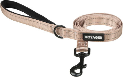 Best Pet Supplies Voyager Nylon Dog Leash - Fuchsia, Small | 5Ft in Length, 5/8" in Width, Reflective, Soft Neoprene Handle, Heavy Duty Metal Clips for Running, Walking & Training20