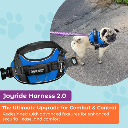 Joyride Dog Harness 2.0 | No-Pull | Blue 2.0 | M | Reflective No-Choke Quick-Fit Vest with 3 Leash Clips and Escape-Resistant Design for Easier Walks and Training3