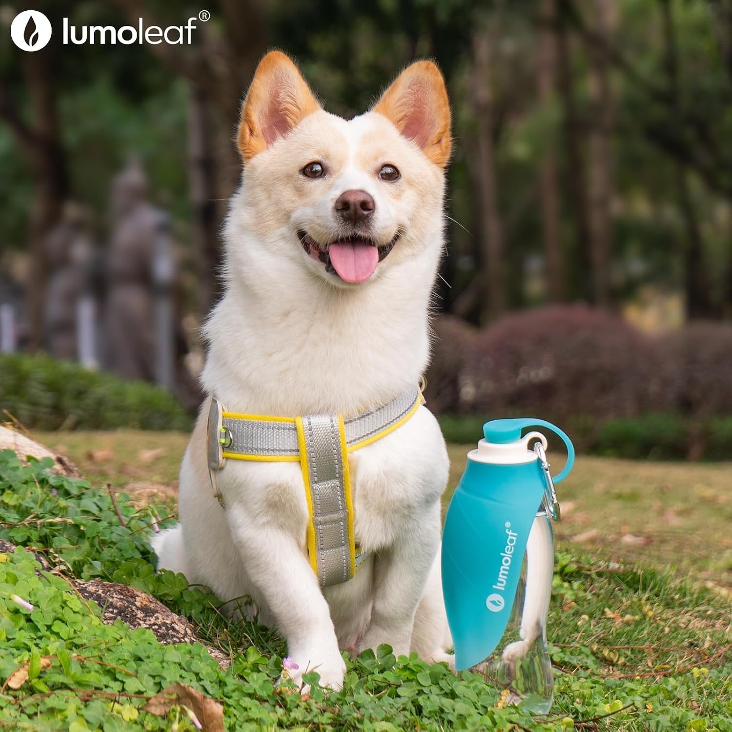 lumoleaf-dog-water-bottle-for-walking-portable-pet-water-dispenser-with-foldable-leaf-bowl-lightweight-travel-bottle-for-small-medium-dogs-20-fl-oz