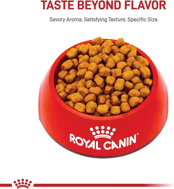ROYAL CANIN Breed Health Nutrition Shih Tzu Adult Dry Dog Food, 2.5 Lb Bag | Specialized Kibble Shape, Supports Skin and Coat, Complete and Balanced Nutrition, 2.5 Pound Bag4