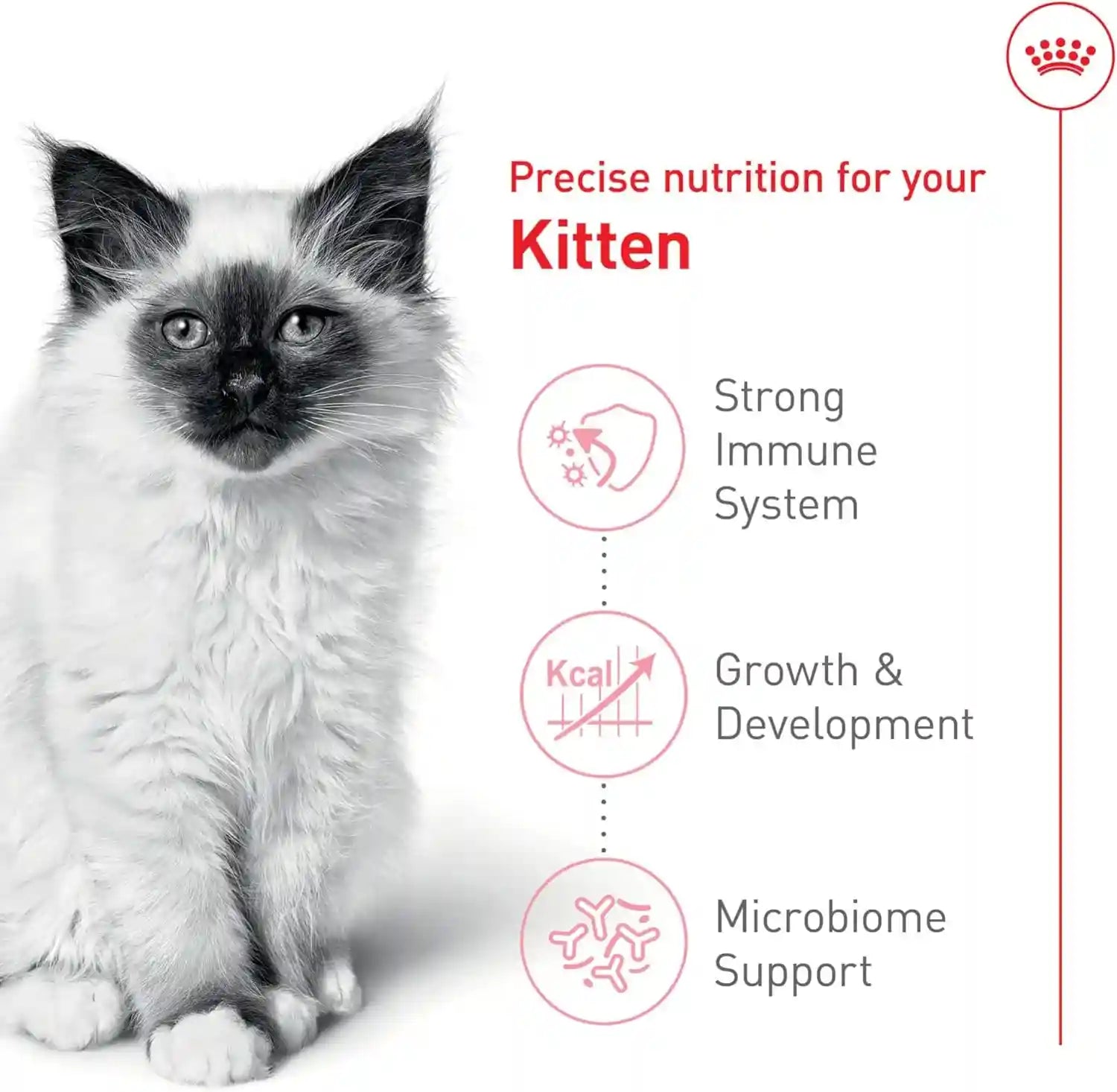 royal-canin-feline-health-nutrition-kitten-dry-cat-food-7-lb-bag-formulated-for-kittens-up-to-12-months-supports-immune-system-tailored-kibble-size-7-lb-bag