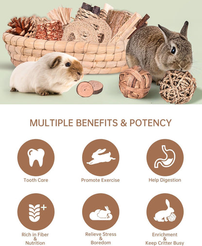 31PCS Rabbit Chew Treat Toys for Teeth Health, Natural Bunny Enrichment Toys for Boredom & Stress Relief, Keep Busy Toys for Guinea Pig Chinchilla Hamster Rat Gerbil Degu Indoor Outdoor3