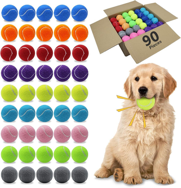 Magicorange Dog Tennis Balls, 20 Pack 2.5 Inch Squeaky Tennis Balls | Floatable Squeaky Dog Balls for All Breed Dogs,Natural Rubber,Colorful Easy Catching Multicolor,With Mesh Bag9