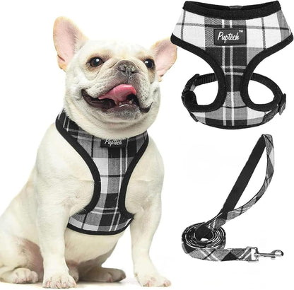 PUPTECK Soft Mesh Dog Harness Small Sized and Leash Set Pet Puppy Cat Comfort Padded Vest No Pull Harnesses, Beige, S33