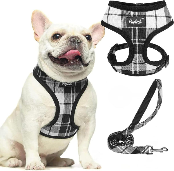 PUPTECK Soft Mesh Dog Harness Small Sized and Leash Set Pet Puppy Cat Comfort Padded Vest No Pull Harnesses, Beige, S33