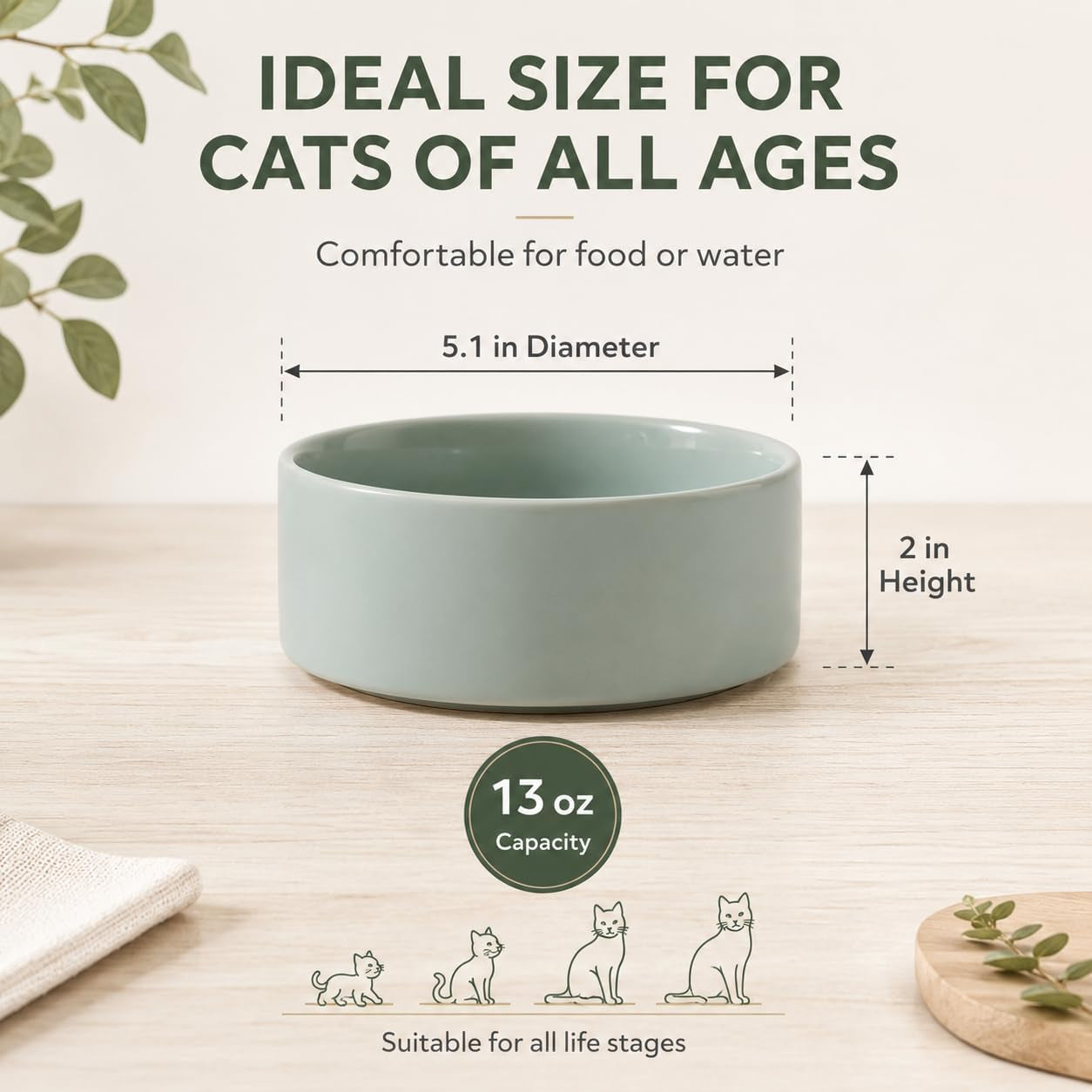 havniva-cat-bowls-set-of-two-5-1-ceramic-cat-food-and-water-bowls-cat-food-bowls-whisker-friendly-non-slip-base-food-grade-ceramic-wide-opening-dishwasher-safe-cat-bowls-for-indoor-cats