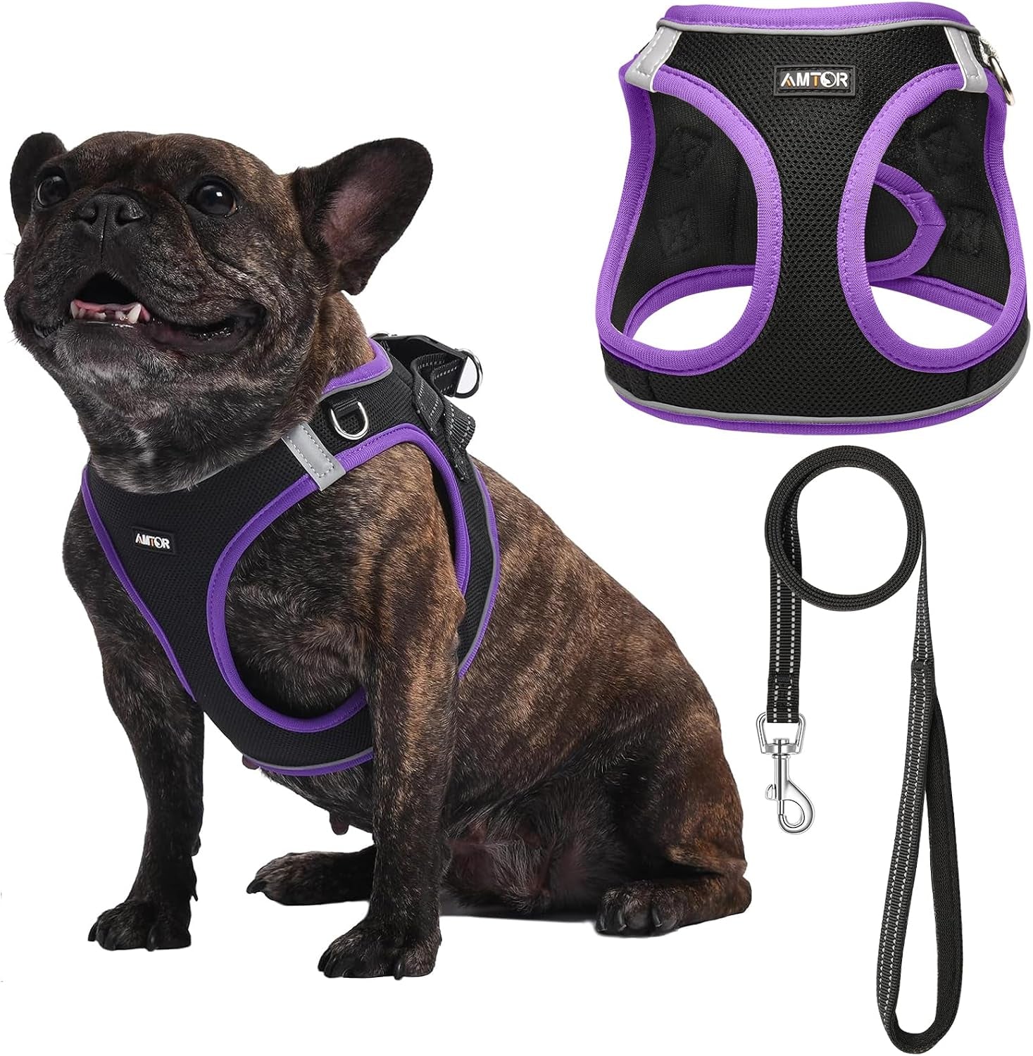 amtor-small-dog-harness-with-leash-set-no-escape-easy-walk-puppy-harnesses-for-training-walking-step-in-reflective-soft-dogs-vest-for-xs-s-medium-extra-small-large-sized-doggreen-s